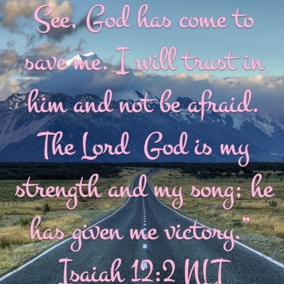 ๐ซ  Hammโs Bear for President Vintage Sz L-XL Grey UniSex - Picture 14 of 16